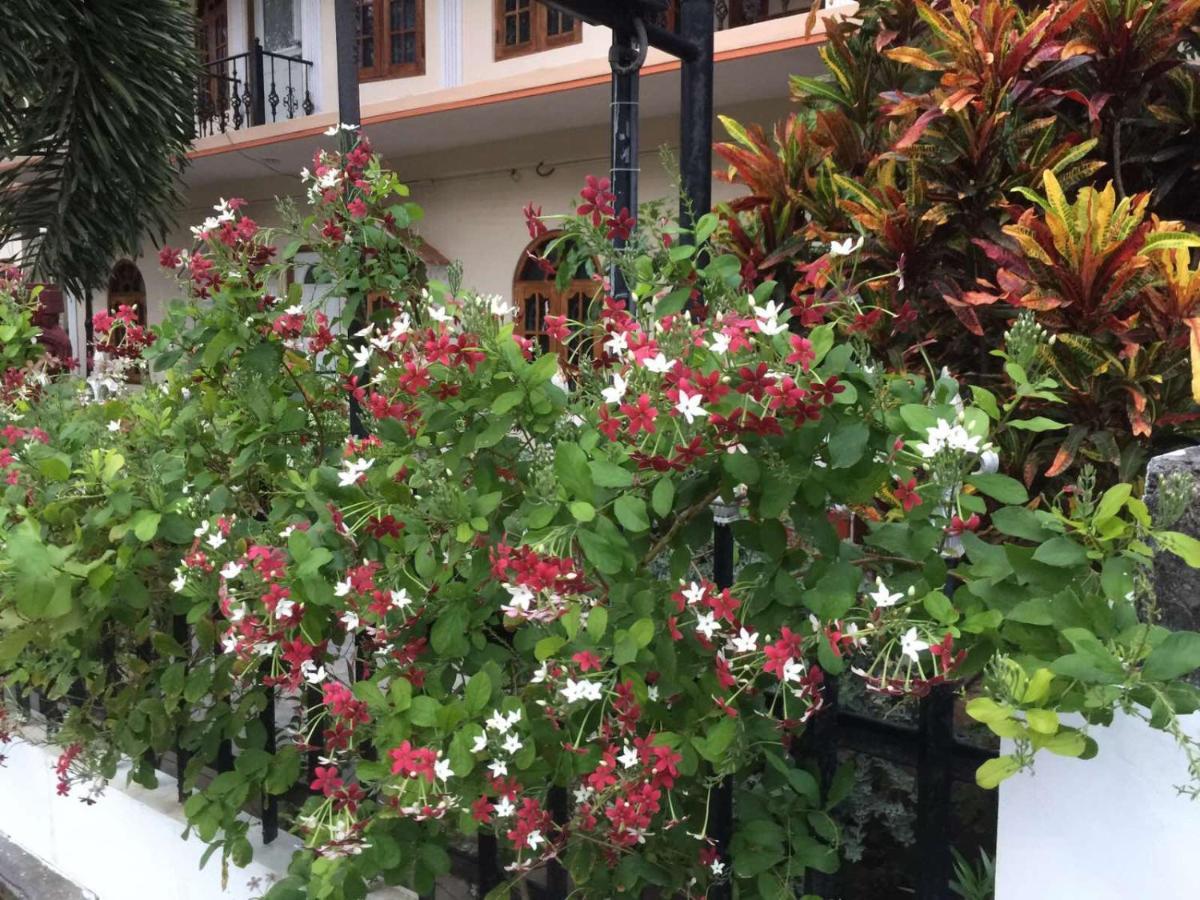 Senthil Complex Hotel Jaffna Exterior foto